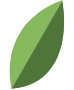 large-leaf